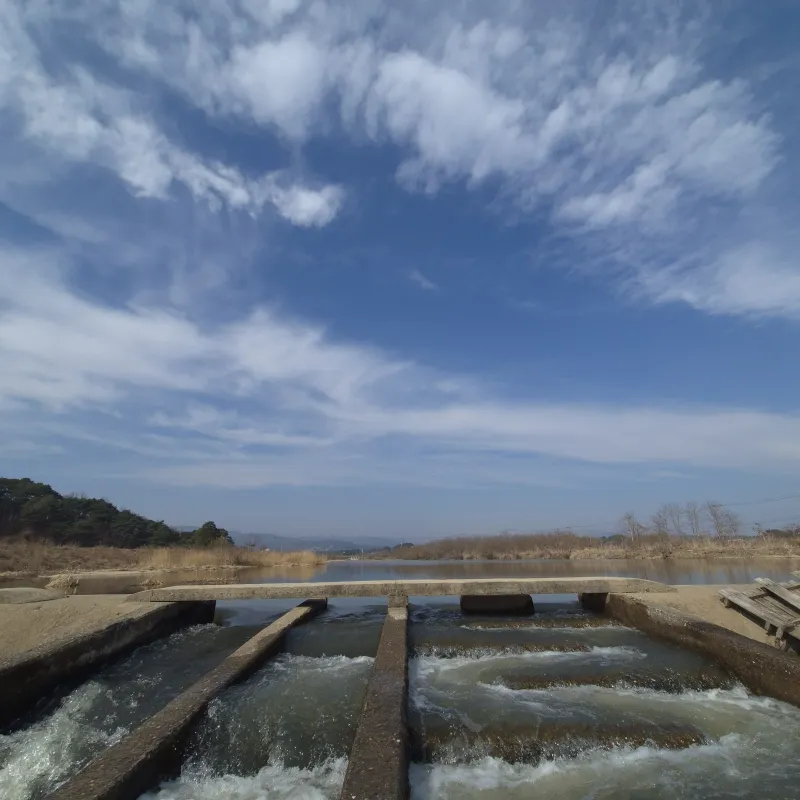 [Gangneung] A space closer to relaxation than travel; stay quietly and take a break from your daily life. 9