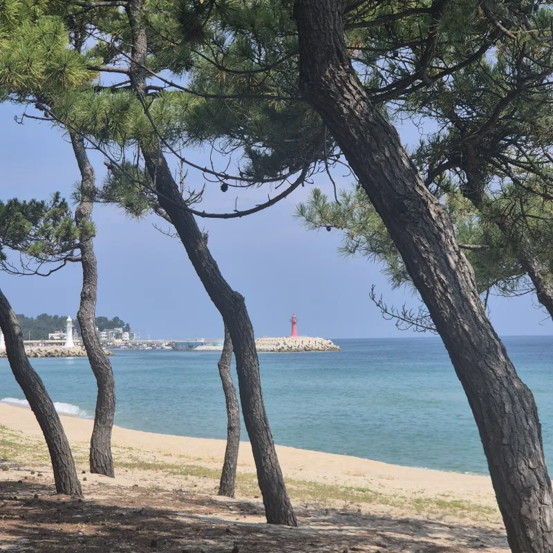[Gangneung] A space closer to relaxation than travel; stay quietly and take a break from your daily life. 8