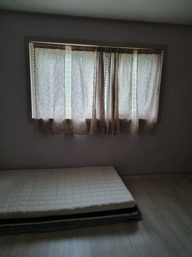 [Namhae][Namhae-gun, Gyeongsangnam-do] Cypress Forest House 2