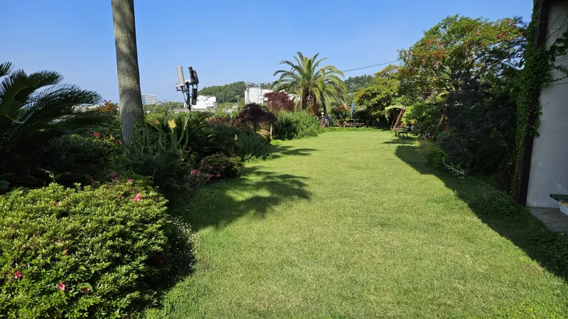 [Bomok-dong, Seogwipo] Bomok Studio #Terrace #SwimmingPool #JeongbangWaterfall #CheonjiyeonWaterfall 18