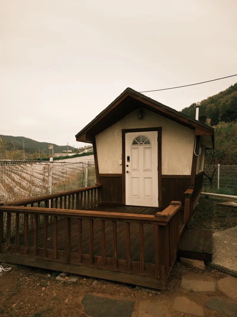 [Boseong][Boseong-gun, Jeollanam-do] Boseong, Purely 50