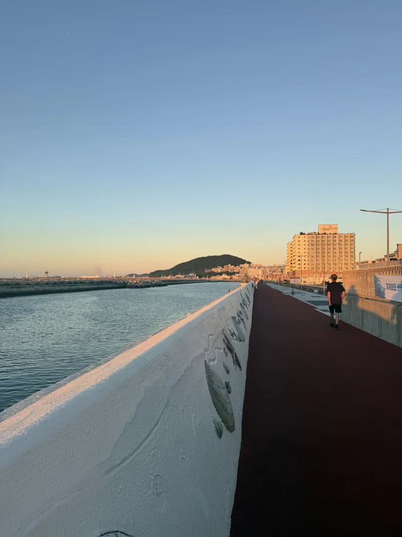 [Samdo 2-dong, Jeju][Jeju Tapdong] Old-fashioned House Vibe, Workcation Detached House, 100 Pyeong Yard, Three-Room 33