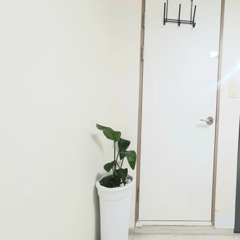 [Yongsan, Seoul] Best value for money in Seoul Station♡ Juchawon Room 8