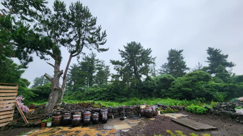 [Aewol, Jeju] Aewol Wooden House Detached (2-story) 2 Bedrooms, 2 Bathrooms, 2 Queens, 1 Single 38