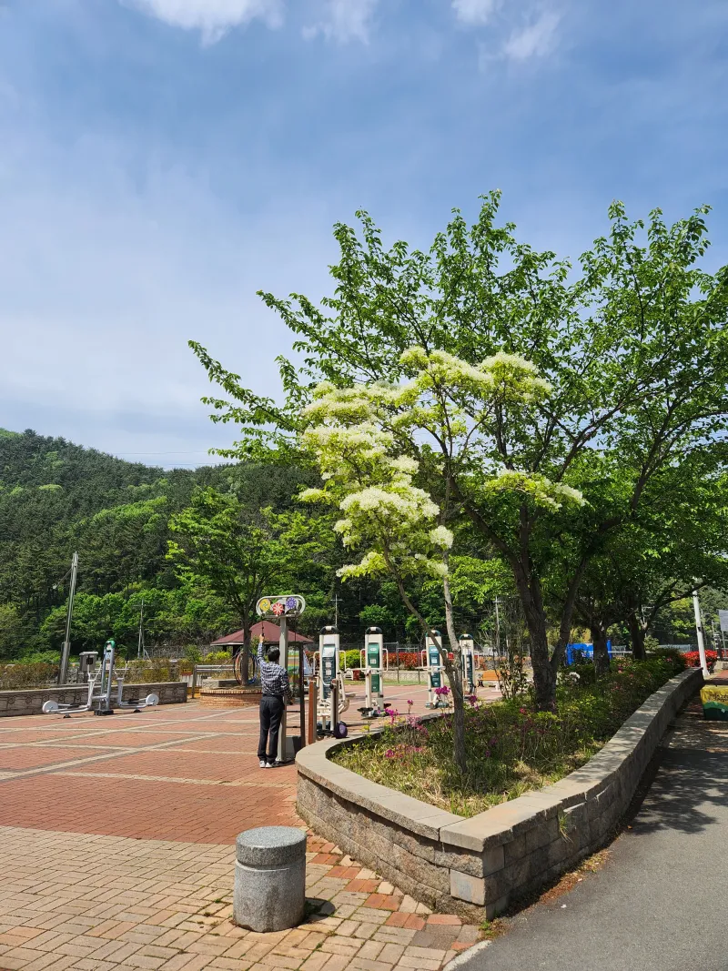[Geoje] Gohyeon Junggok / Best studio apartment in the living area, waterfront park walking path 25