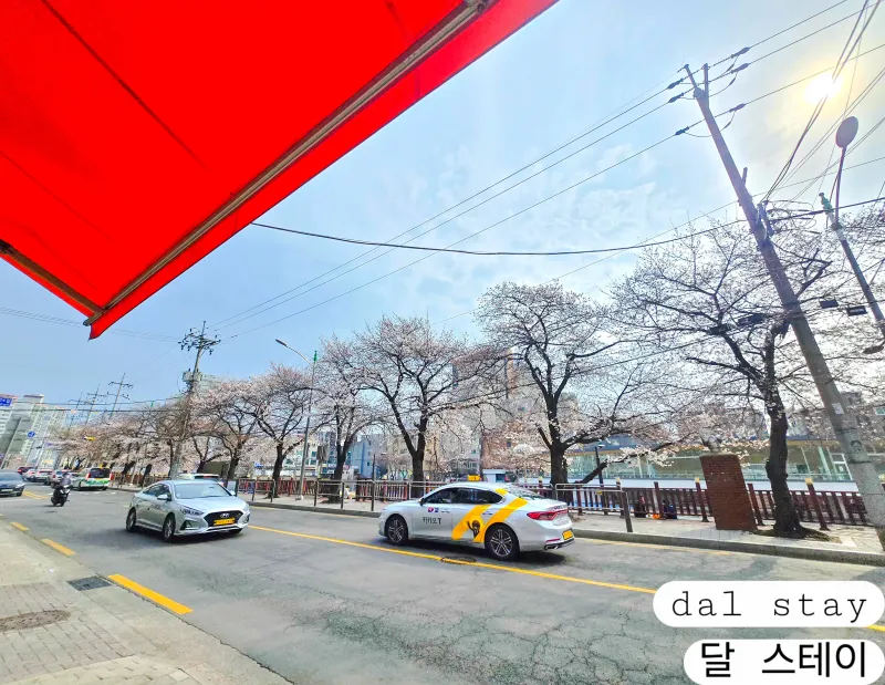 [서울 도봉] 지하철 도보 1분 |  침대 2개 | 아늑한 숙소 18