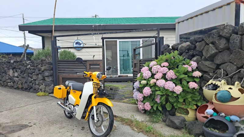 [제주 구좌] 고래고래스테이 22