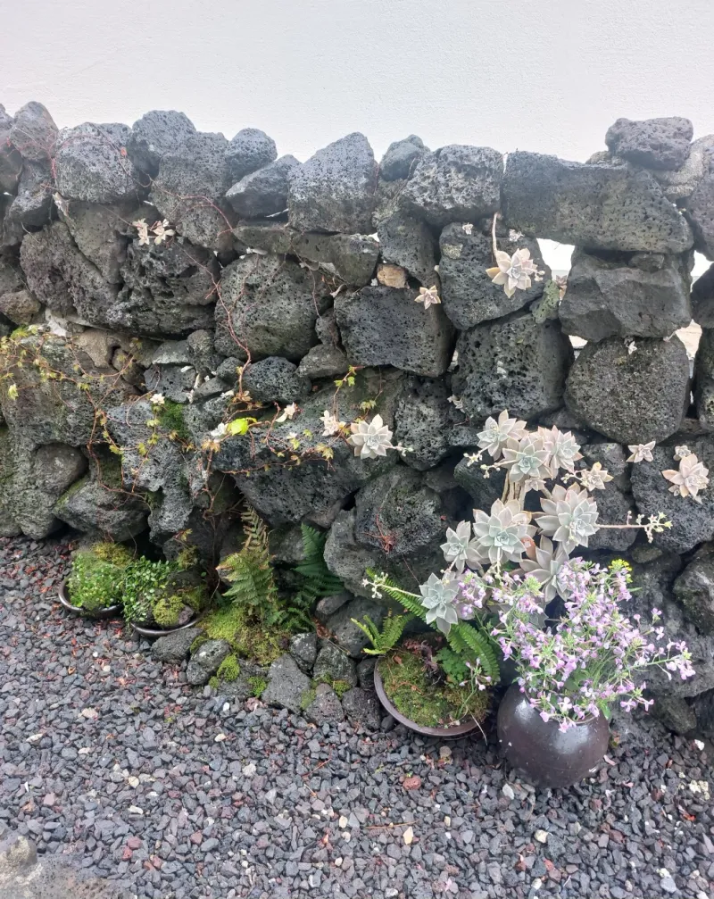 [Gujwa, Jeju] A one-minute walk from the beach. A one-month stay at Kimnyeong Doldamjip (outer building). 16