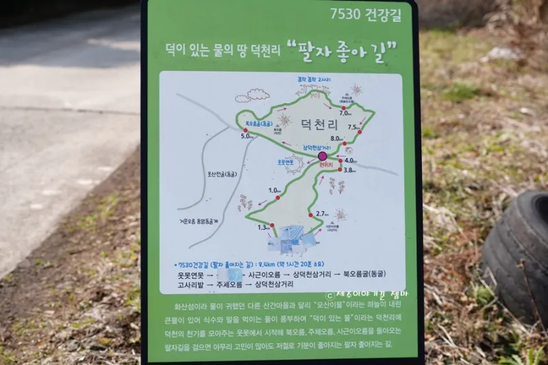 [제주 구좌] 제주 구좌읍 동백정원 독채 28
