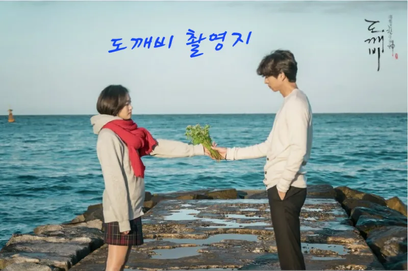 [강원 강릉][오션뷰] 영진해변 파도소리 들리는 Studio 영진 24