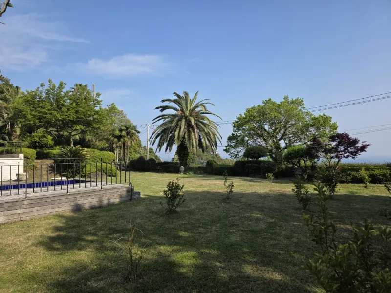 [Hogeun-dong, Seogwipo] A luxury villa with Jeju's best ocean view and a spacious lawn garden 8