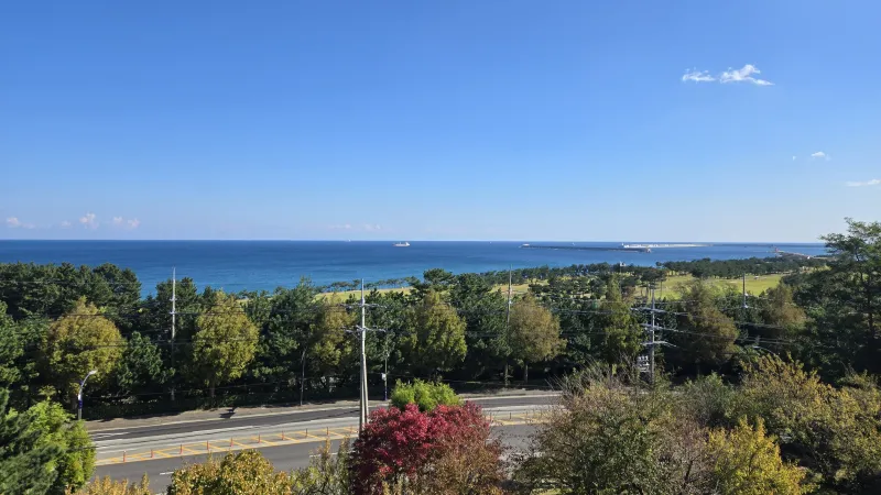 [Donghae] Ocean view apartment, 10-minute walk to the beach. Sunrise view from the living room. 15