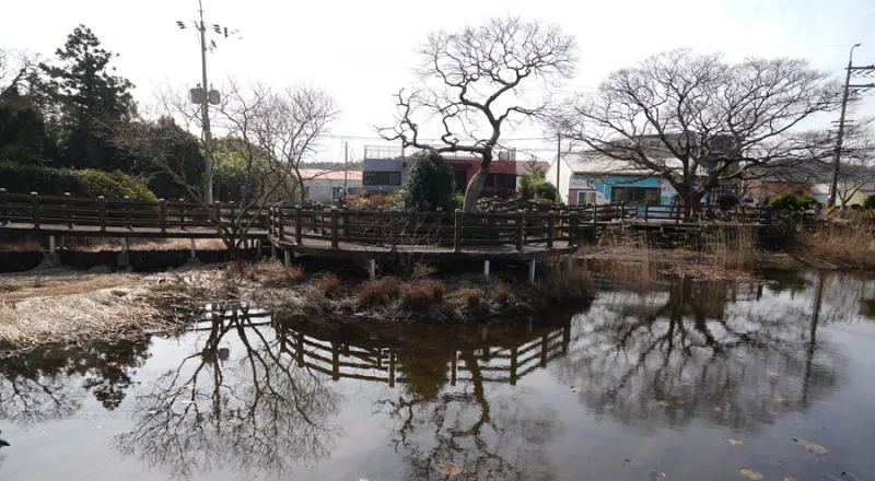 [제주 구좌] 제주 구좌읍 동백정원 독채 29