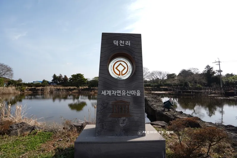 [제주 구좌] 제주 구좌읍 동백정원 독채 26