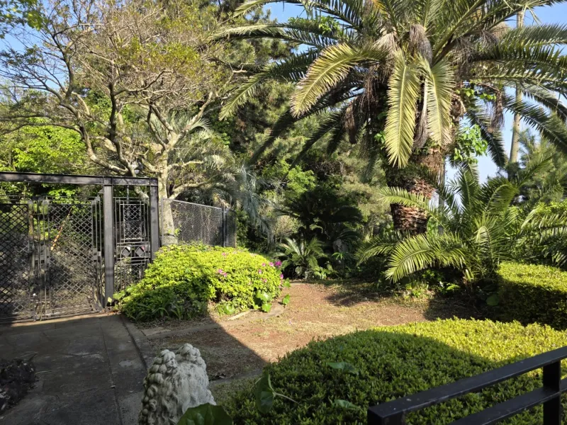 [Hogeun-dong, Seogwipo] A luxury villa with Jeju's best ocean view and a spacious lawn garden 13