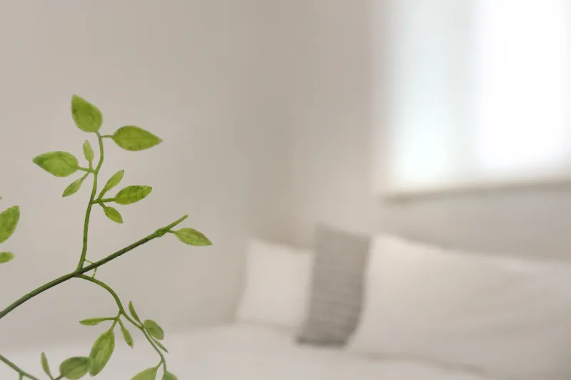 [Eunpyeong, Seoul] 3-Room House in Eunpyeong-gu with Good Accessibility to Hongdae / Free Parking 10
