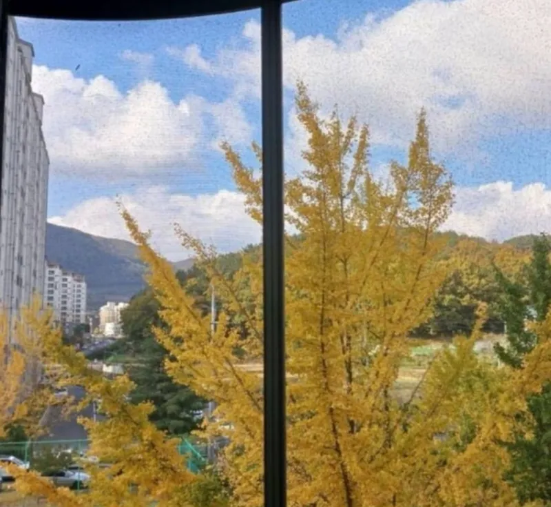 [Gyeongju] 5 mins from Hwangnidan-gil (Opening Special) 17
