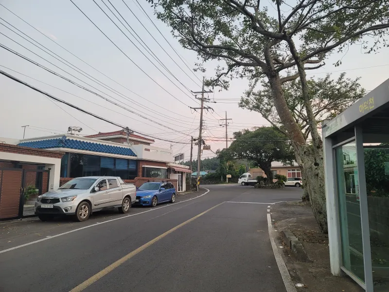 [제주 구좌] 제주 구좌읍 동백정원 독채 25