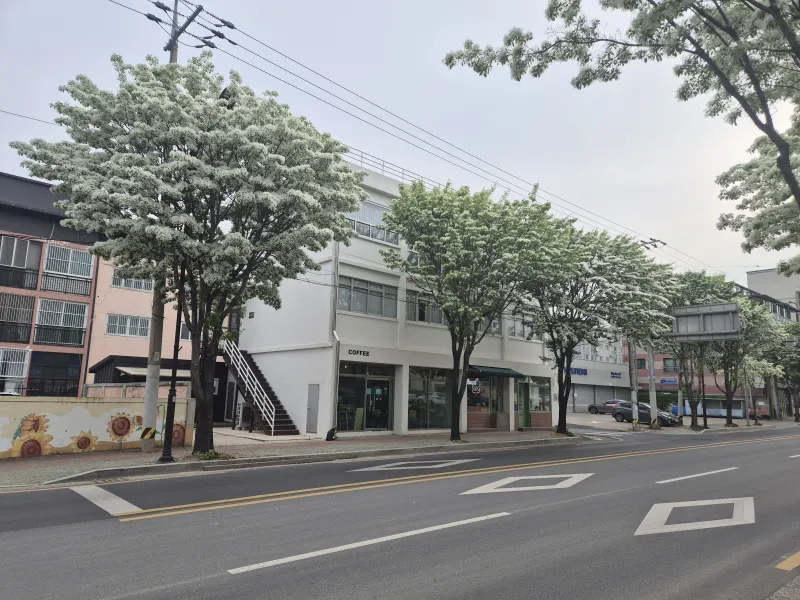 [경북 경주] 경주읍성.황리단길 하우스 24