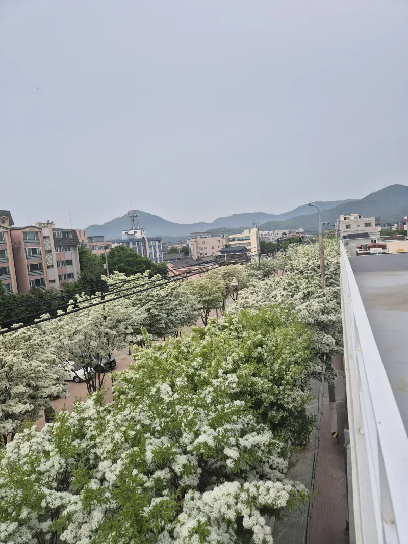 [경북 경주] 경주읍성.황리단길 하우스 23