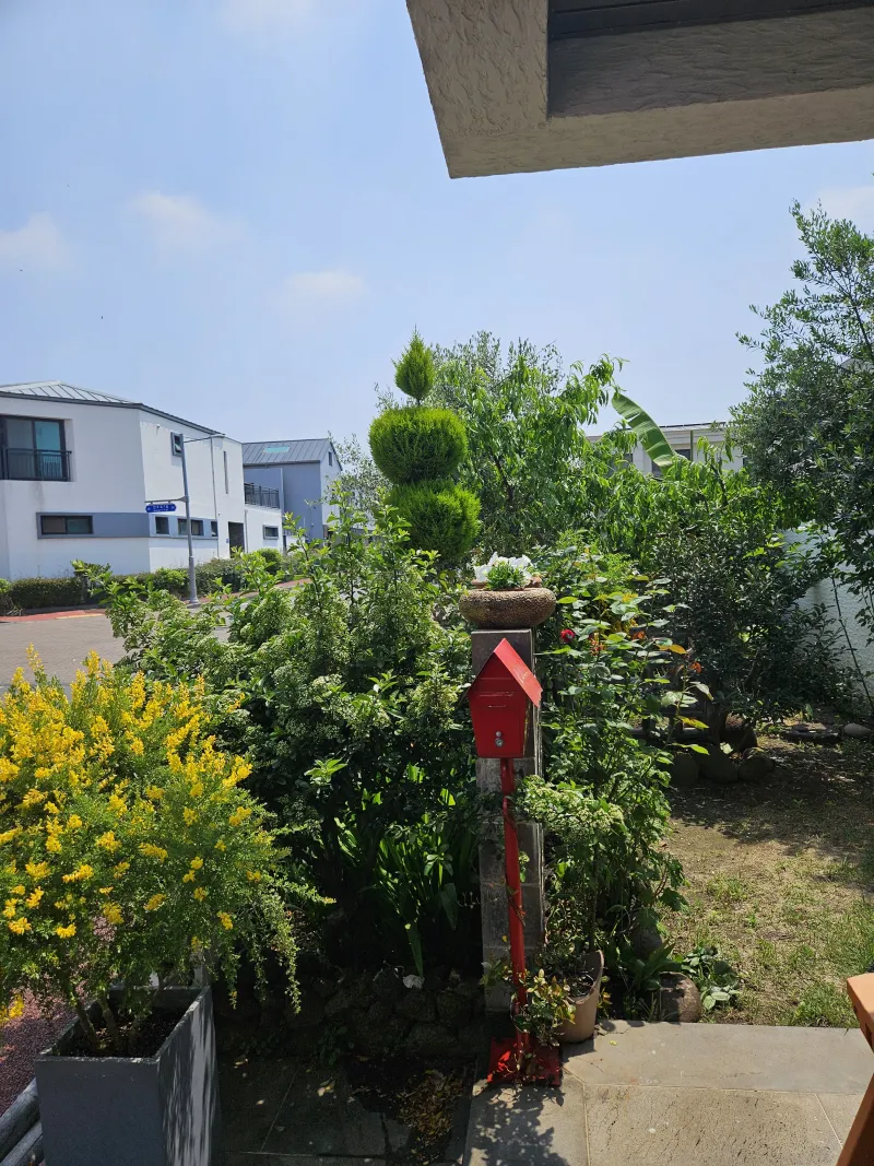 [제주 도련일동] 제주에선 쪼끌락 #제주바다~#독채 #힐링 #재택근무#안전 39