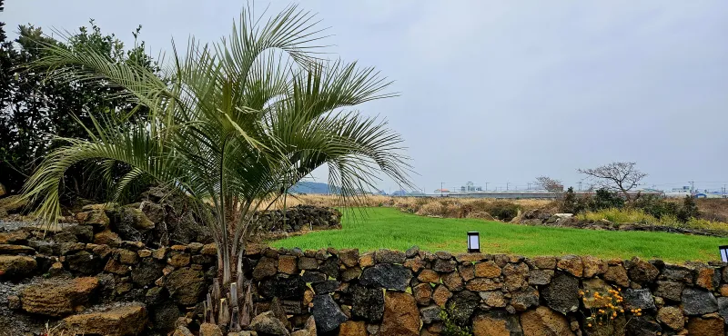 [Hangyeong, Jeju] Henon Stay Jeju, Hangyeong-myeon 17