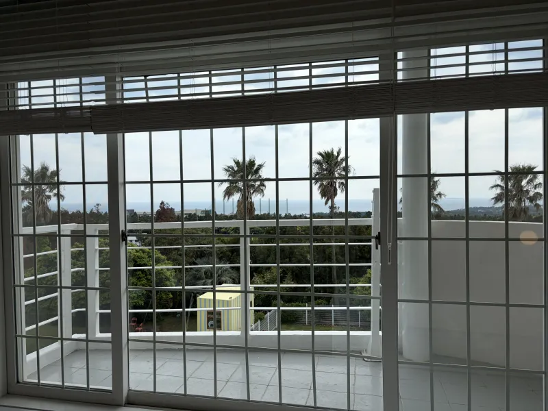 [Saekdal-dong, Seogwipo] South-facing floor-to-ceiling windows with ocean view, fenced dog playground, Building B, 3rd floor studio 17
