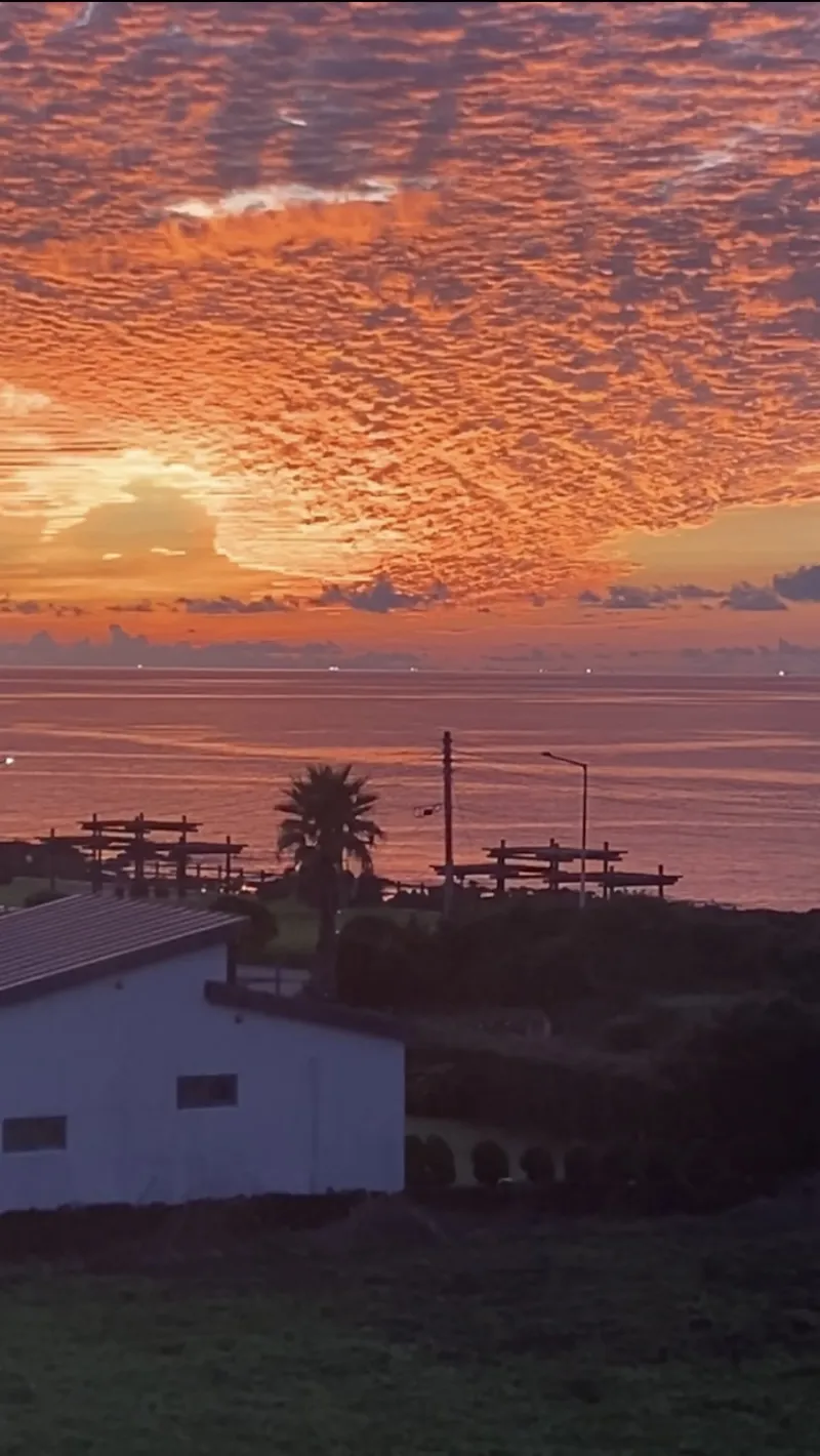 [Seongsan, Seogwipo] Newly built in 2026, a house with a view of the sunrise, dolphins, and horizon 58