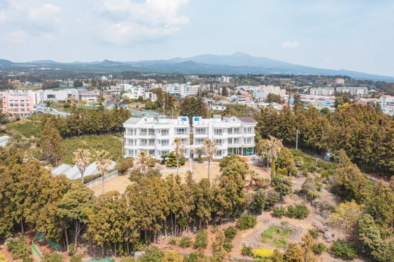 [Saekdal-dong, Seogwipo] South-facing floor-to-ceiling windows with ocean view, convenient location for travel, Building A, 3rd floor studio 33