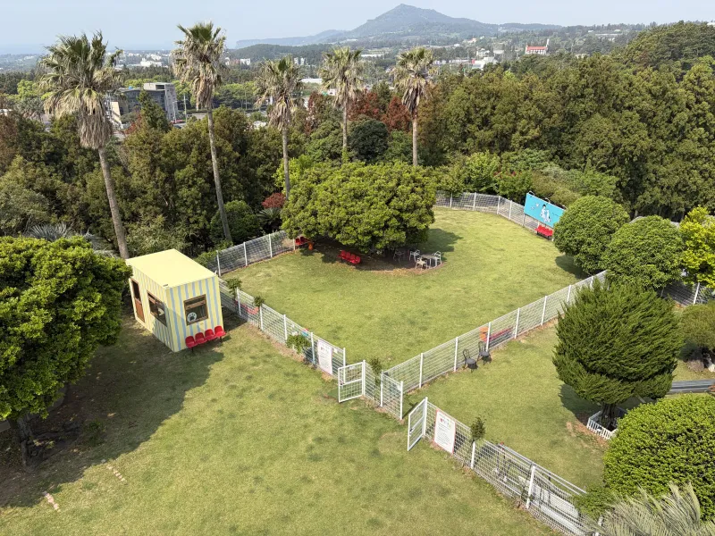 [Saekdal-dong, Seogwipo] South-facing floor-to-ceiling windows with ocean view, fenced dog playground, Building B, 3rd floor studio 19