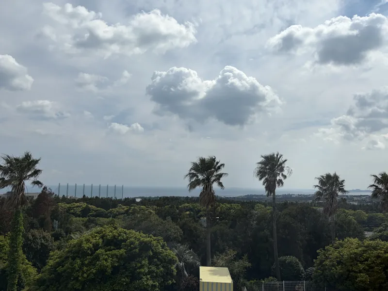 [Saekdal-dong, Seogwipo] South-facing floor-to-ceiling windows with ocean view, convenient location for travel, Building A, 3rd floor studio 18
