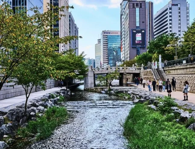 [Seongbuk, Seoul] 3-Room House with 3 Queen Rooms, 5-Minute Walk from Sungshin Women's University Station 47