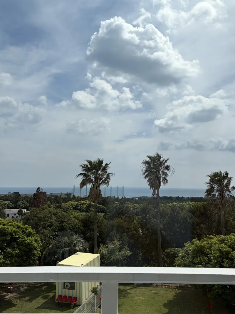 [Saekdal-dong, Seogwipo] South-facing floor-to-ceiling windows with ocean view, fenced dog playground, Building B, 3rd floor studio 36