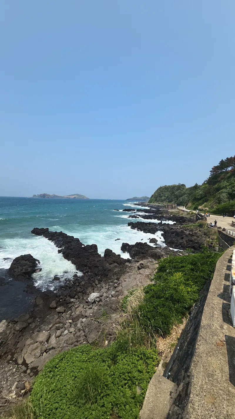 [Hangyeong, Jeju] Private house with ocean view, spacious garden, and neat interior in a quiet seaside village on the west 111