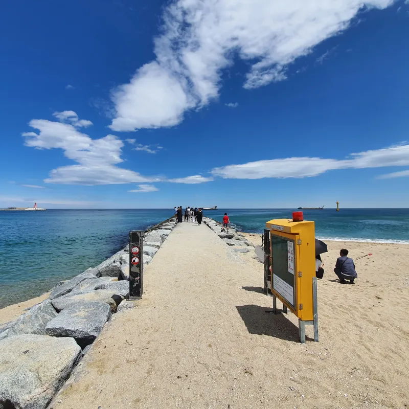 [Gangneung][Gangneung, Gangwon-do] A sentimental accommodation with a view of the sea #Front view 25