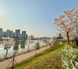 [Hanam][Hanam-si, Gyeonggi-do] Prime Location, 2 Minutes from Misa Station, Pleasant 39