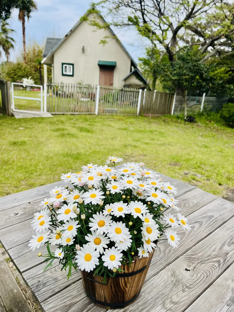 [Hallim, Jeju] 5-minute walk to Hyeopjae Beach, private house, dog-friendly, lawn yard, 7