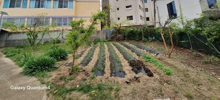 [Andong][Andong, Gyeongsangbuk-do] A healing space harmonizing with vegetable gardens 12