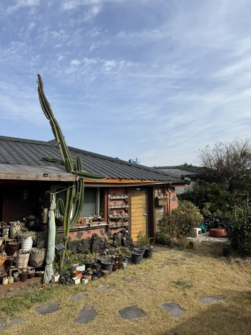 [Hangyeong, Jeju] Right in front of Panpo Port, a quiet and pretty traditional house, Doldamjip (Wonangchae) 10