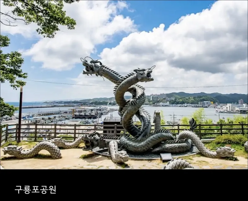 [경북 포항][경상북도 포항시] 구룡포 바다뷰 해뜨는마을 34