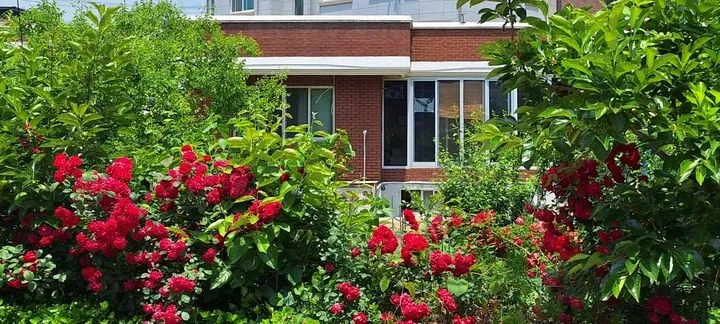 Two-Bedroom in Andong, Gyeongbuk — 85m², sleeps 6, 2 baths