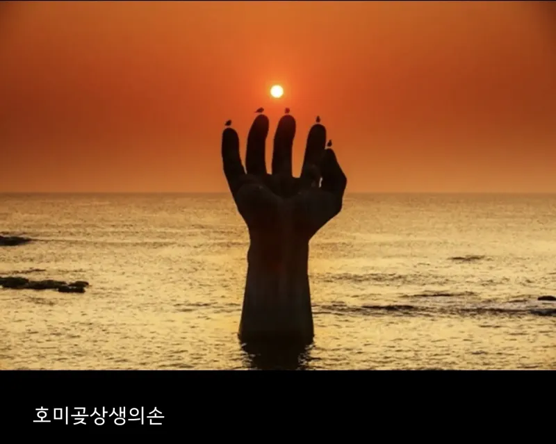 [경북 포항][경상북도 포항시] 구룡포 바다뷰 해뜨는마을 32