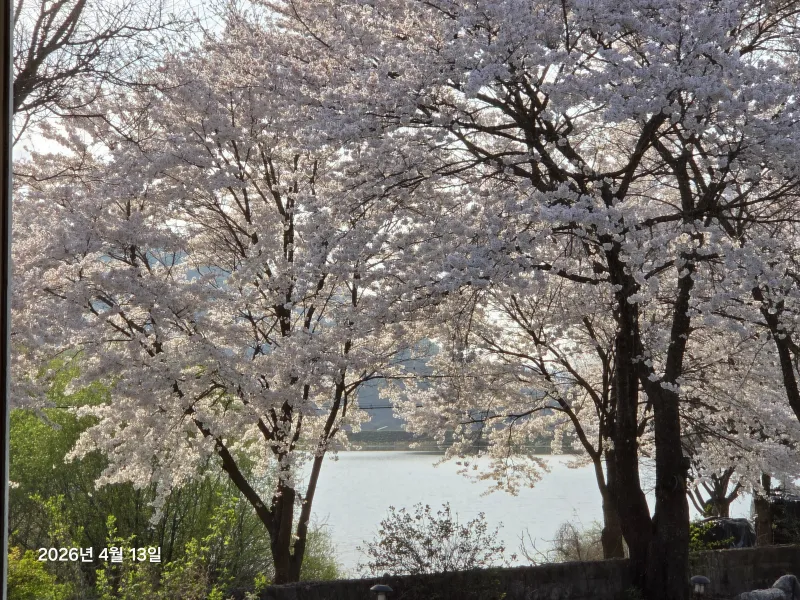 [Wonju][Sunset] 5km from Namwonju IC/Wonju Station, Lake, Sunset, Mountain View Hotspot 19