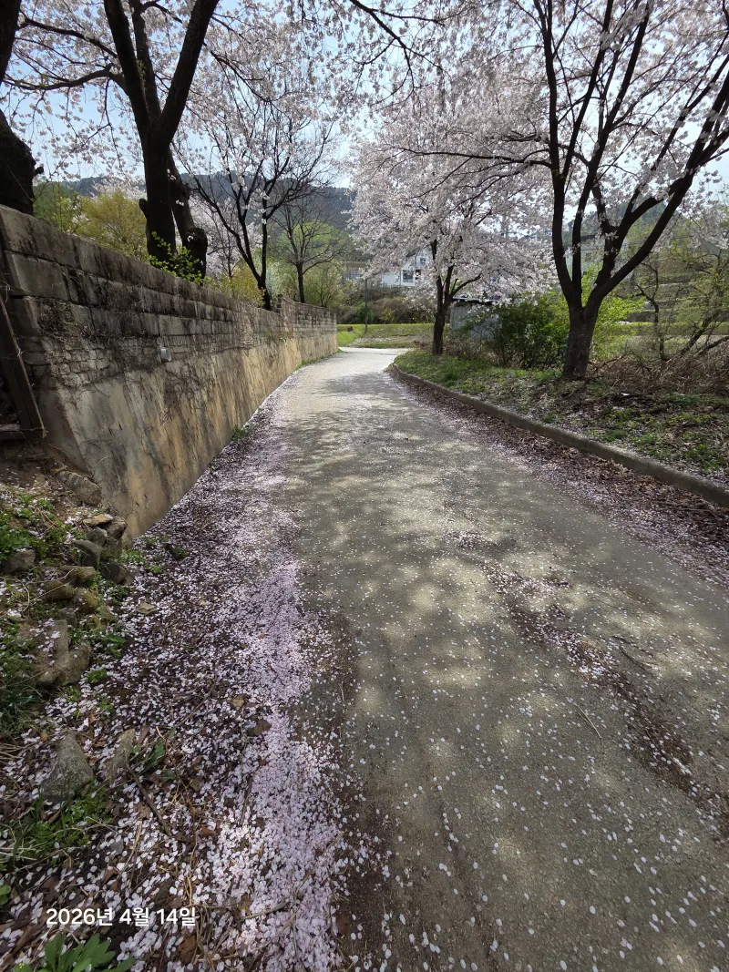 [Wonju][Sunset] 5km from Namwonju IC/Wonju Station, Lake, Sunset, Mountain View Hotspot 20