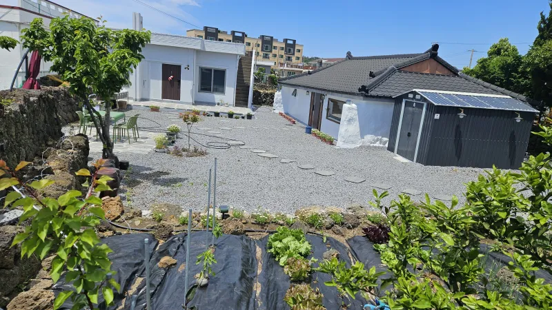 [Andeok, Seogwipo] Sagyedamso 35