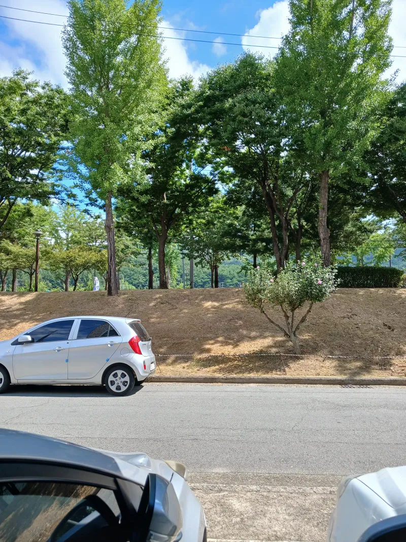 [Gyeongju] Changview 2 / Hwangridan-gil 8 min 25