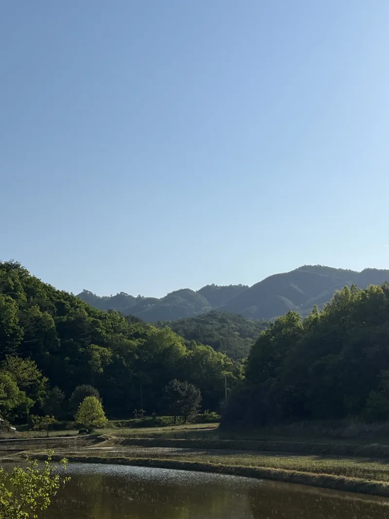 [강원 삼척] 산과 바다를 가까이, 여유로운 힐링 전원주택 2층 24