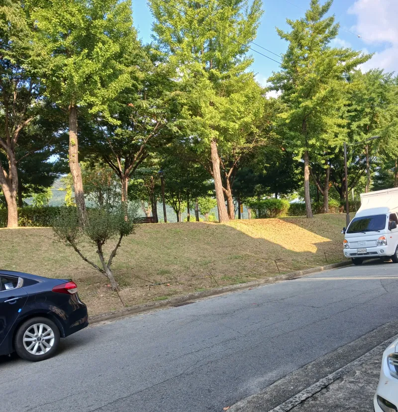 [Gyeongju] Changview 2 / Hwangridan-gil 8 min 24
