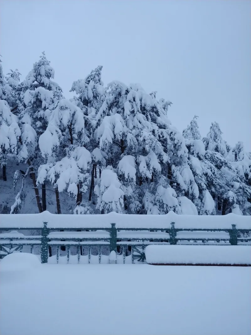 [Yangyang][Yangyang-gun, Gangwon-do] 10-minute drive from Yangyang Express Bus Terminal (Songihyang) 41