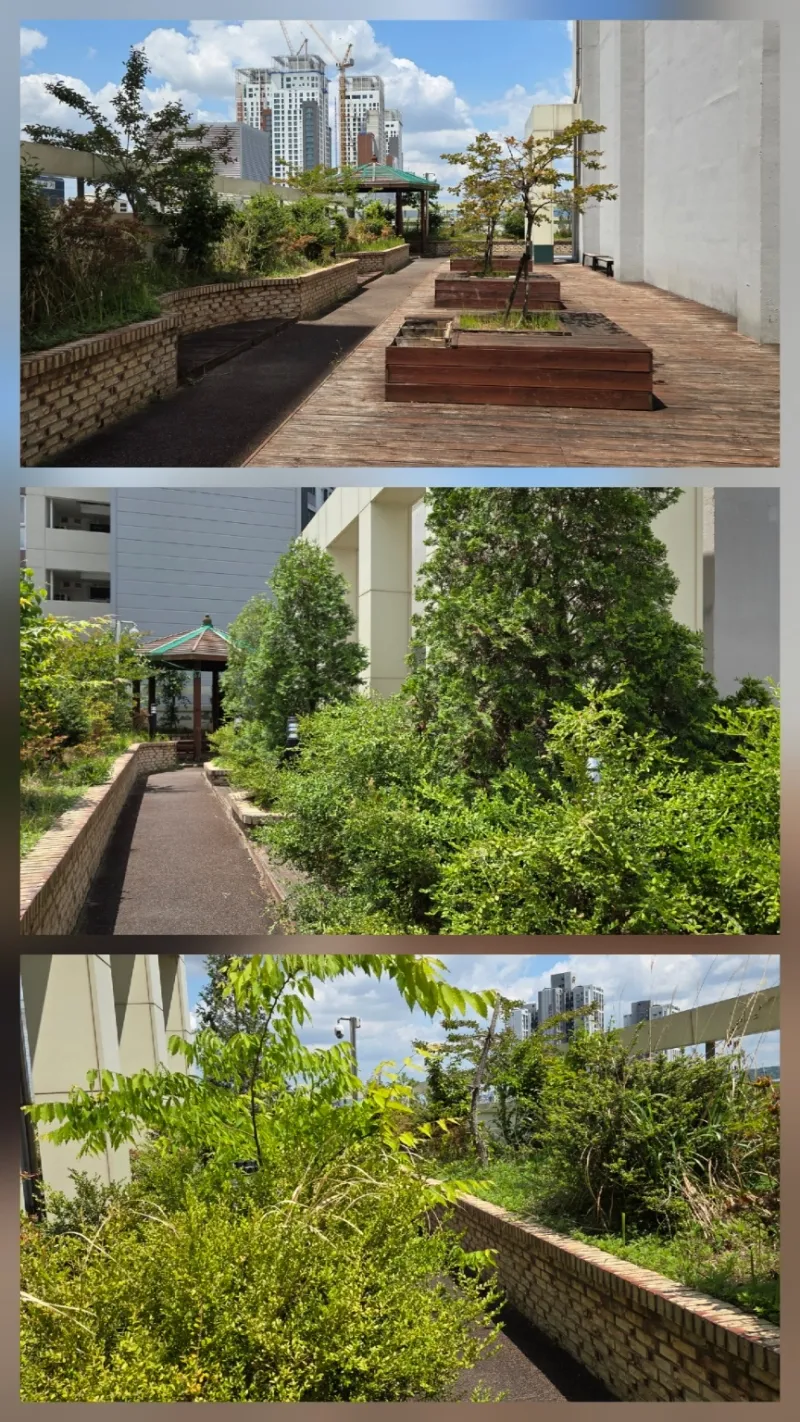 [광주 서구] 골드2 터미널/유스퀘어/신세계백화점/이마트/도보5분/깨끗한숙소 13